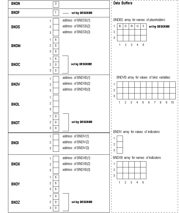 Bind Descriptor after the DESCRIBE