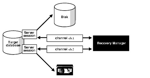 Description of Figure 2-1 follows