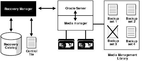 Description of Figure 9-1 follows