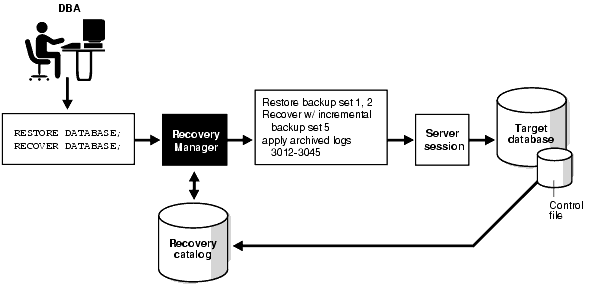 Description of Figure 3-1 follows