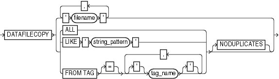 Description of datafilecopyspec.gif follows