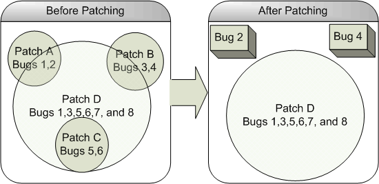 Bug Conflict