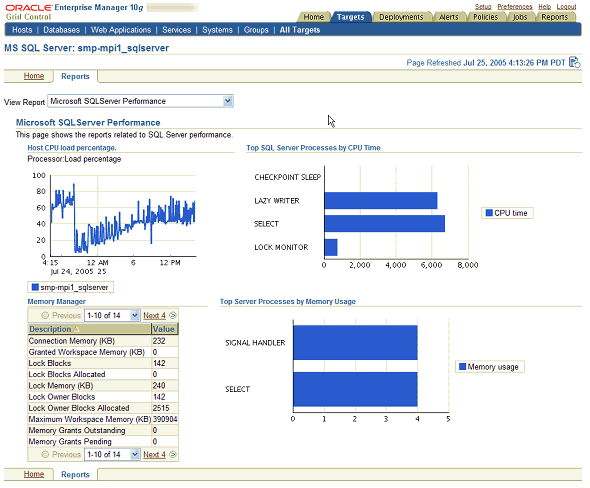 This is the Report page for a SQL Server target.