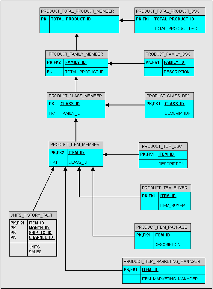 Diagram of unique or "other" schema design