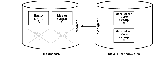 Description of repma007.gif follows