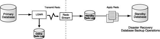 Description of Figure 1-1 follows