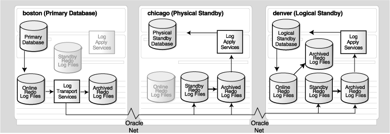 Description of Figure 12-6 follows